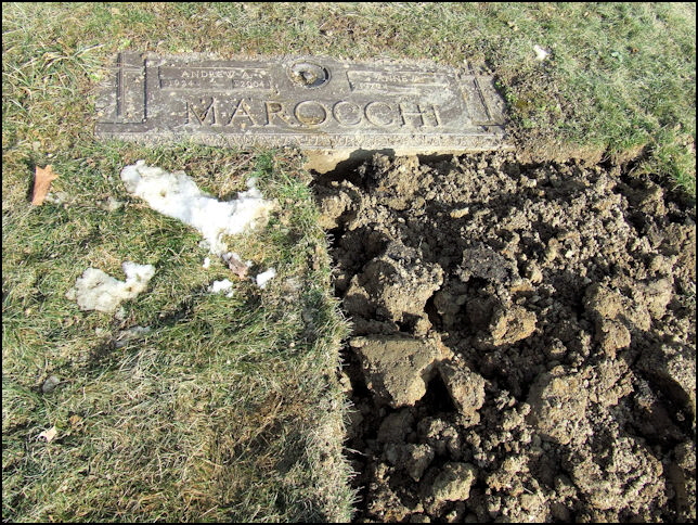 Mom's New Grave